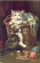 Katzen im Wollkorb - Postkarte