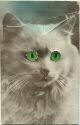 Postkarte - Katze mit Glasaugen - Quitsche-Karte - Cat - glass eyes - squeaking