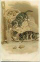 Ansichtskarte - Katzen - Maus - Gefühl
