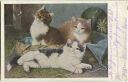 Postkarte - Drei Katzen - Feldpost