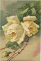 Posrkarte - Blumen - Gelbe Rosen