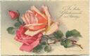 Postkarte - Blumen - Rote Rosen - Catharina C. Klein