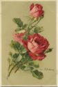 Postkarte - Blumen - Rosen - Catharina C. Klein