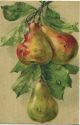 Postkarte - Früchte - Birnen