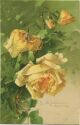 Postkarte - Blumen - Rosen - Catharina C. Klein