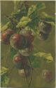Postkarte - Früchte - Pflaumen - Catharina C. Klein - N° 530