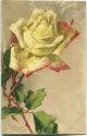 Postkarte - Catharina C. Klein - Rosen