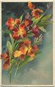 Postkarte - Catharina C. Klein - Blumen