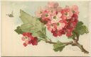 Postkarte - Catharina C. Klein - Blüten