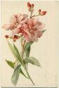 Postkarte - Blumen - unsigniert