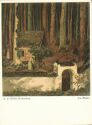 Ansichtskarte - Im Walde