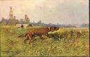 Ansichtskarte - Jagd - Hunde - signiert M. Müller