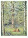Rehe im Wald - Karl-Kühnle-Postkarte 42