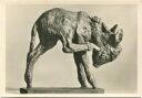 Junger Esel - Bronze 1937 - Renée Sintenis - Foto-AK