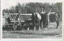 Landwirtschaft - Foto-AK 40er Jahre