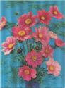 Postkarte - 3D-Color - Hologramm Karte - Blumen