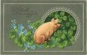 Postkarte - Neujahr - Klee - Schwein