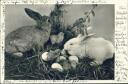 Postkarte - Ostern - Hasen und Küken