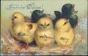 Postkarte - Fröhliche Ostern - Küken