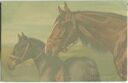 Pferde - Pastell-Postkarte