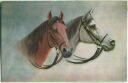 Postkarte -  - zwei Pferdeköpfe