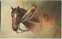 Postkarte - Pferde - zwei Pferdeköpfe