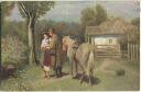 Postkarte - Pferd - Soldat