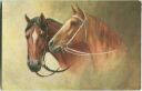 Postkarte - Zwei Pferdeköpfe