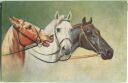 Postkarte - Drei Pferdeköpfe