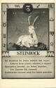 Steinbock 23.12. bis 20.01. - Sternbildkarte