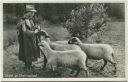 Postkarte - Schäfer und Schafe im Hochsauerland 