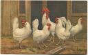 Postkarte - Hühner und Hahn