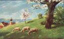 Künstlerkarte - Schafe auf der Wiese