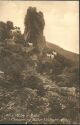 Ansichtskarte - Ziegen - Lynton - Valley of Rocks