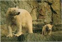 Berlin - Zoologischen Garten - Eisbärin mit Kind - Foto-AK