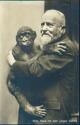 Prof. Heck mit dem jungen Gorilla - Foto-AK