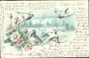 Postkarte - Tauben - Gänseblümchen