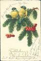 Fröhliche Weihnachten - Vögel - Postkarte
