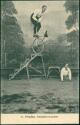 Postkarte - Kunstrad - Sport - K. Fritzsche - Dresden-Leuben ca. 1920