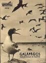 Progress-Filmprogramm 32/64 - Galapagos Trauminseln im Pazifik