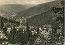 Bärenfels - Blick auf Kipsdorf und Sachsenhof - Foto-AK