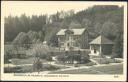 Bockmühle im Polenztal - Foto-AK