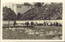 Berlin Sportvergnügen im Deutschen Schwimmstadion - Postkarte