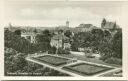 Delitzsch - Rosengarten - Rosarium im Kurpark- Foto-AK