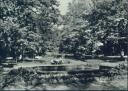 Bad Düben - Im Kurpark - Foto-AK