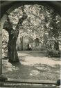 Wittenberg - Im Hof des Lutherhauses - Foto-AK