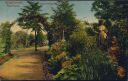 Postkarte - Sangerhausen - Rosarium - Wasserschöpferin
