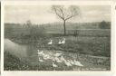 Schleiz von der Glücksmühle aus - Foto-Ansichtskarte