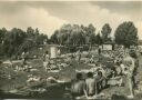 Fraureuth - Schwimmbad - Foto-AK Grossformat 60er Jahre