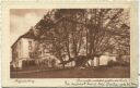 Postkarte - Augustusburg - Die uralte verkehrt gepflanzte Linde